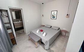 Euphorbia Suites